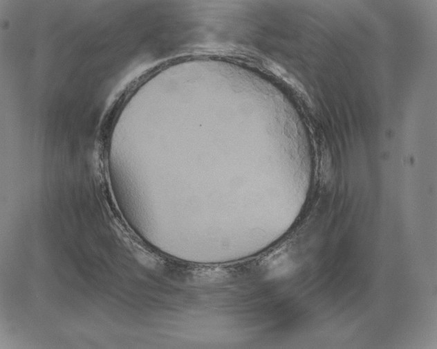 X0000080661454200612301323