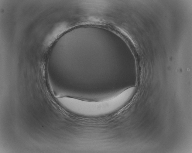 X0000080661455200612301323
