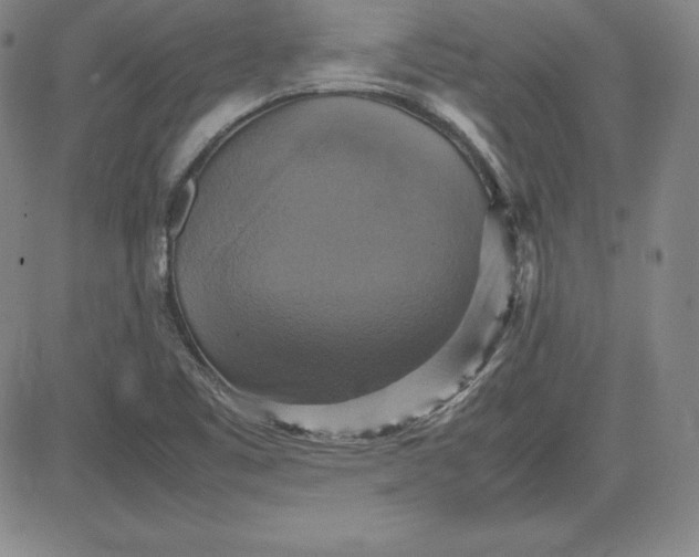 X0000080661461200612301323