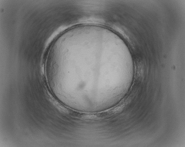X0000080661462200612301323