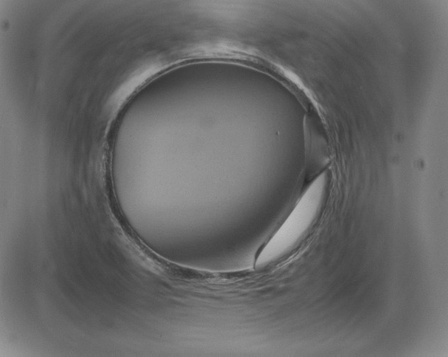 X0000080661463200612301323