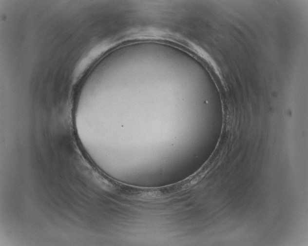 X0000080661464200612301323