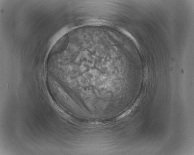 X0000080661467200612301323