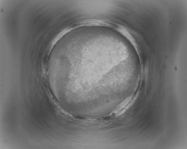 X0000080661481200612301323