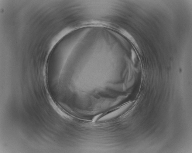 X0000080661482200612301323
