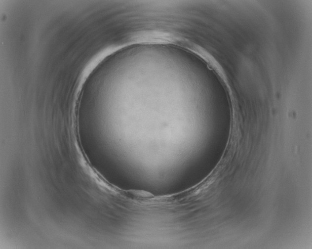 X0000080661488200612301323