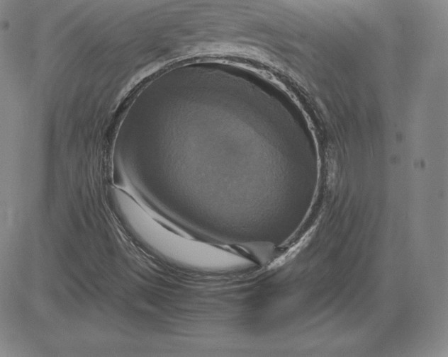 X0000080661497200612301322
