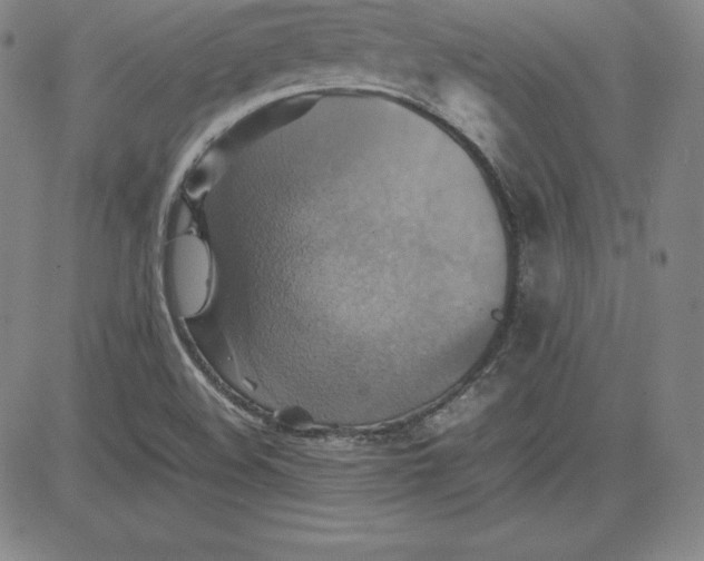 X0000080661508200612301322
