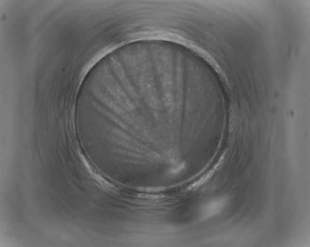 X0000080661513200612301322