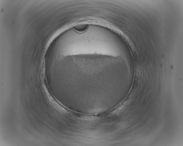 X0000080661522200612301322