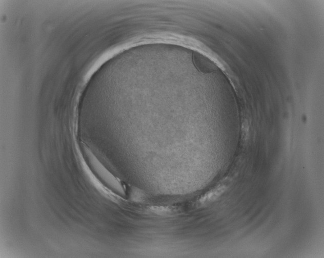X0000080661523200612301323