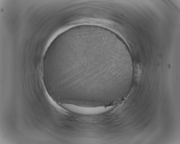 X0000080661531200612301323