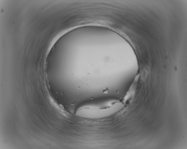 X0000080661532200612301323