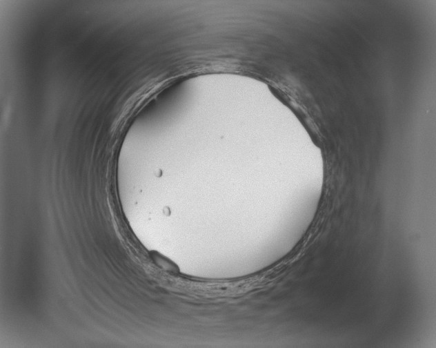 X0000080660001200701050955