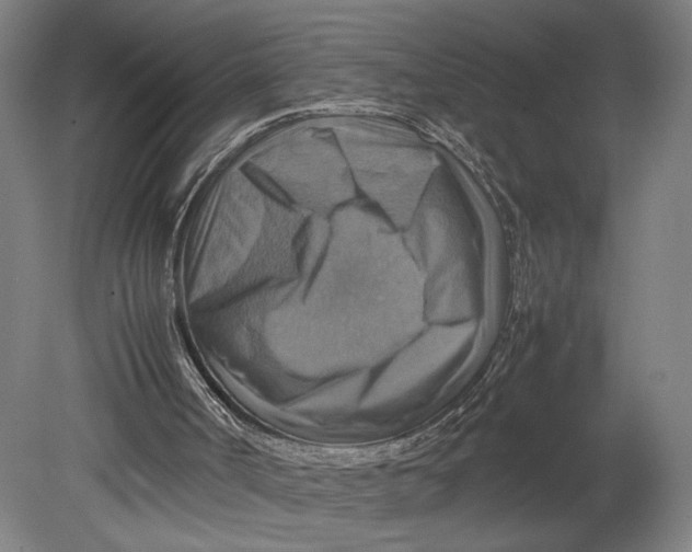 X0000080660002200701050954