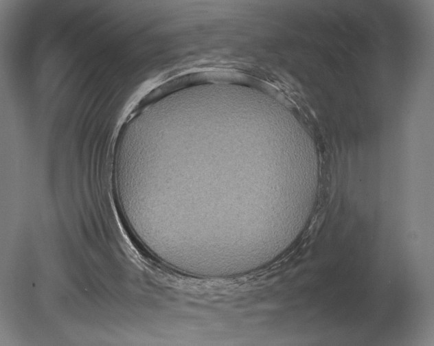 X0000080660003200701050954