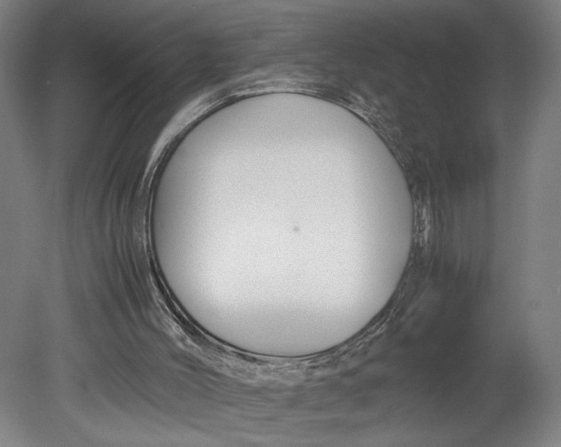 X0000080660004200701050954