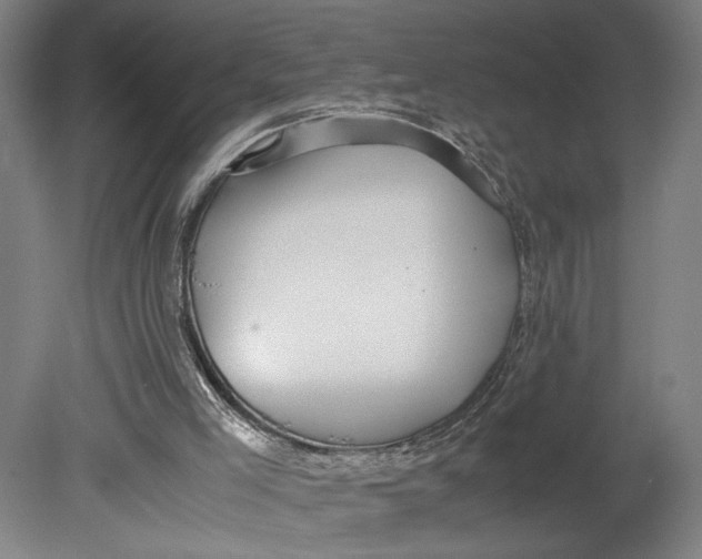 X0000080660005200701050954