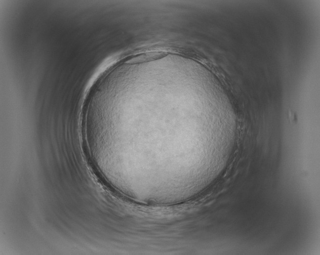 X0000080660006200701050954