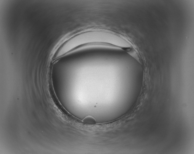 X0000080660007200701050954