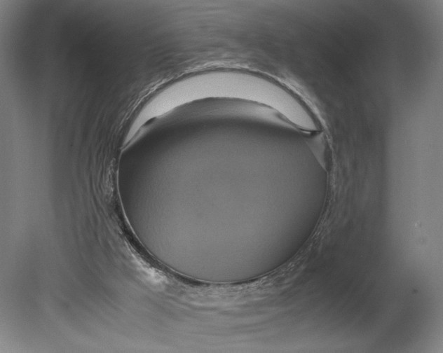 X0000080660009200701050954