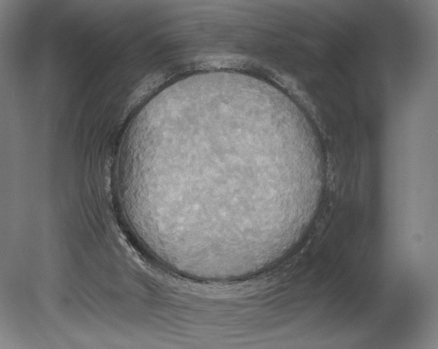 X0000080660010200701050954