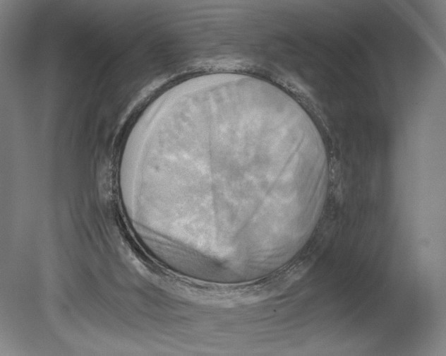 X0000080660012200701050954