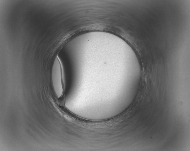 X0000080660013200701050954