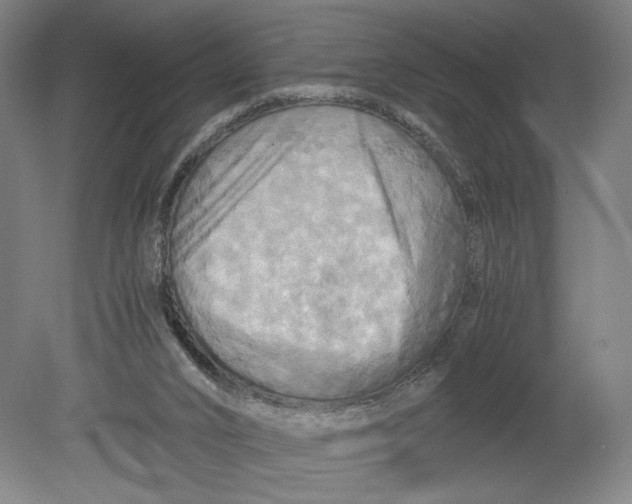 X0000080660016200701050954