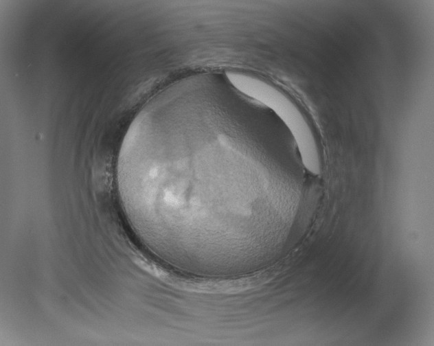 X0000080660017200701050954