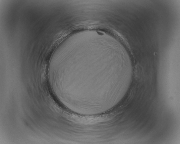 X0000080660018200701050954