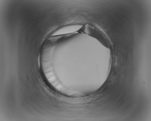 X0000080660019200701050954