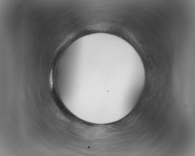 X0000080660020200701050954