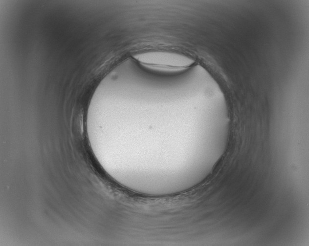 X0000080660021200701050954