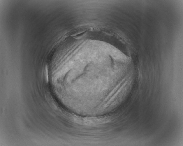 X0000080660022200701050954