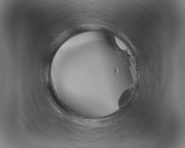 X0000080660023200701050954