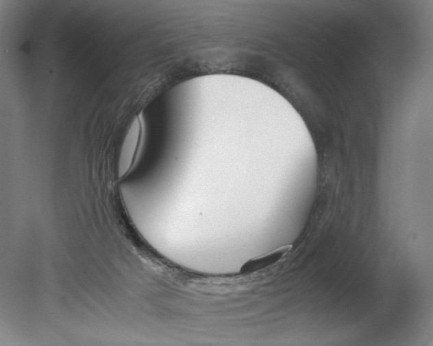 X0000080660025200701050954