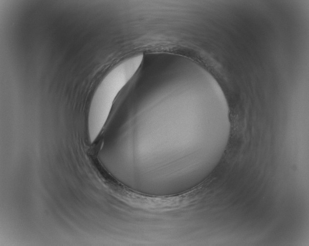 X0000080660027200701050954