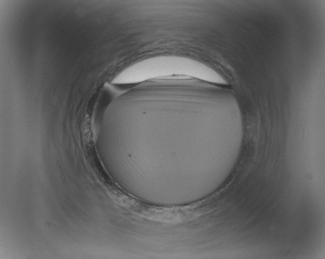 X0000080660029200701050954