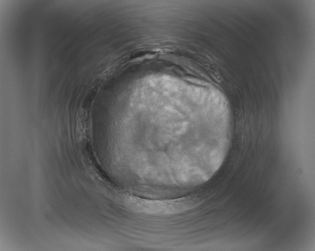 X0000080660030200701050954