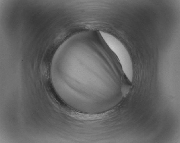 X0000080660031200701050954