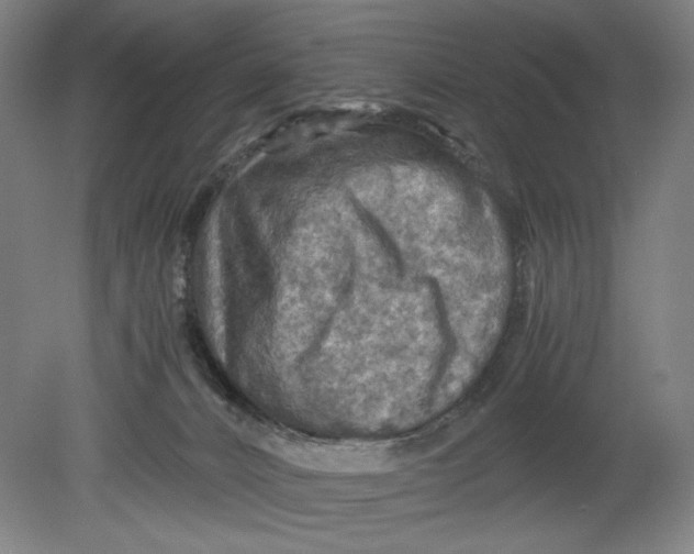 X0000080660032200701050954