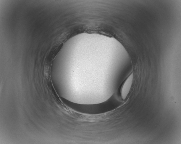 X0000080660033200701050954