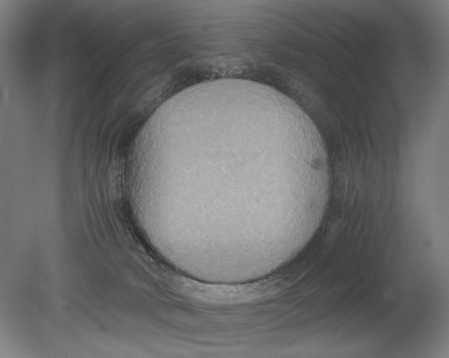 X0000080660034200701050954