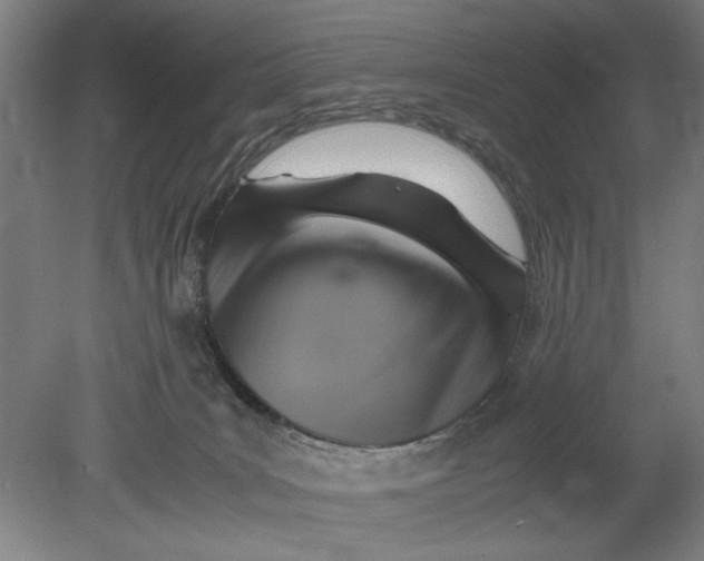 X0000080660035200701050954