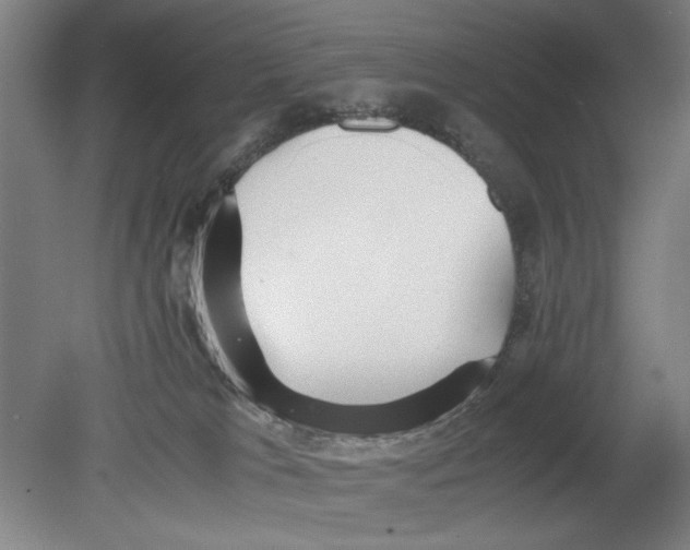 X0000080660037200701050954