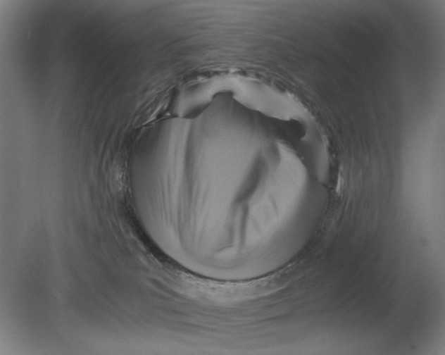 X0000080660039200701050954