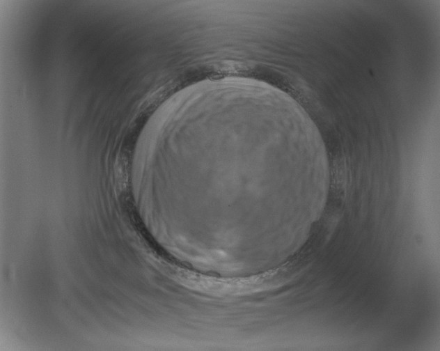 X0000080660043200701050954