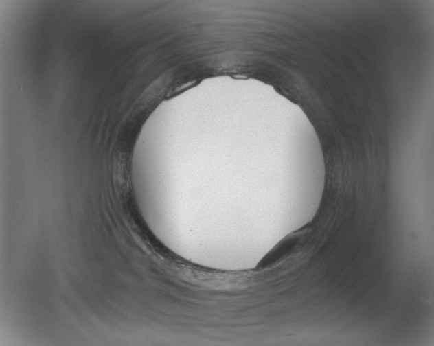 X0000080660044200701050954