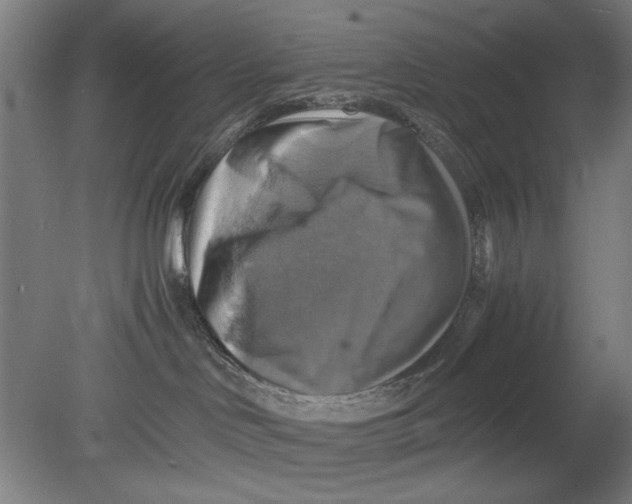 X0000080660046200701050954